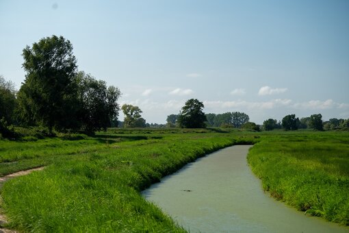 Der Polder Rochow bei Ueckermünde. ©Die Ostseestiftung