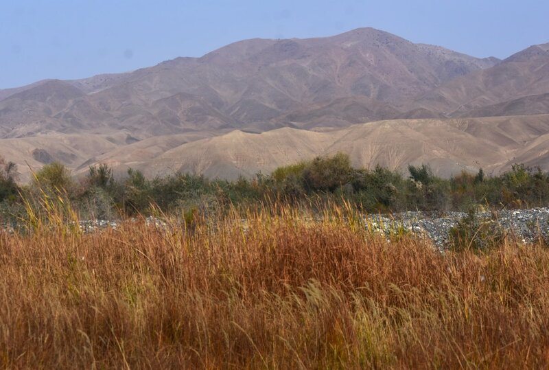 Zarafshan-Tal in Tajikistan. Photo M. Gritsina