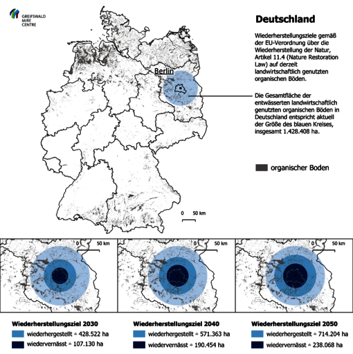 Verbreitung organischer Böden in Deutschland und schematische Darstellung der Wiederherstellungsziele gemäß der Wiederherstellungsverordnung Art. 11.4 auf derzeit landwirtschaftlich genutzten org. Böden Deutschlands im Vergleich zur Größe Berlins (eigene Darstellung GMC, basierend auf Daten der Global Peatland Database)