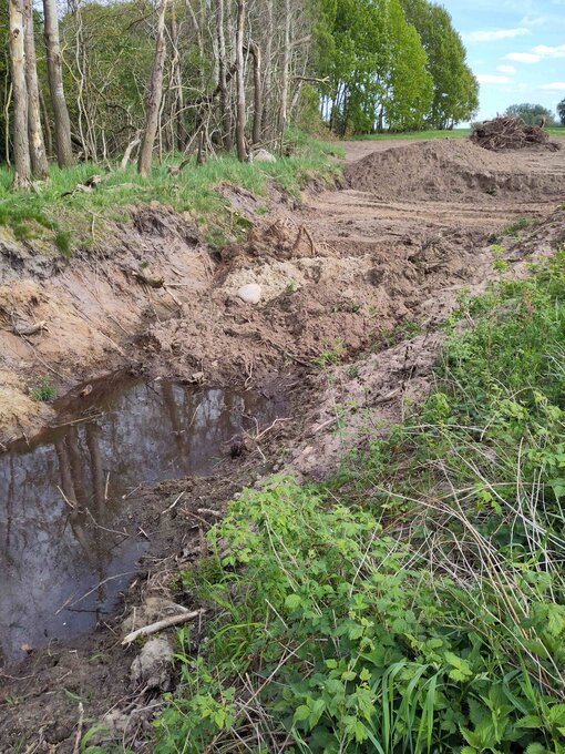 Der Ringgraben rund um das Naturschutzgebiet wurde verfüllt, damit das Wasser ungehindert dem Moor zugutekommt. Foto: Nina Seifert / Michael Succow Stiftung 