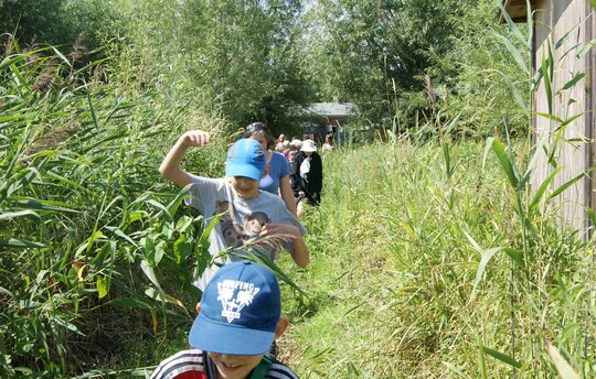‘Into the peatland’ is what the Living Lab Open Day at the Moorbauer in Malchin was all about