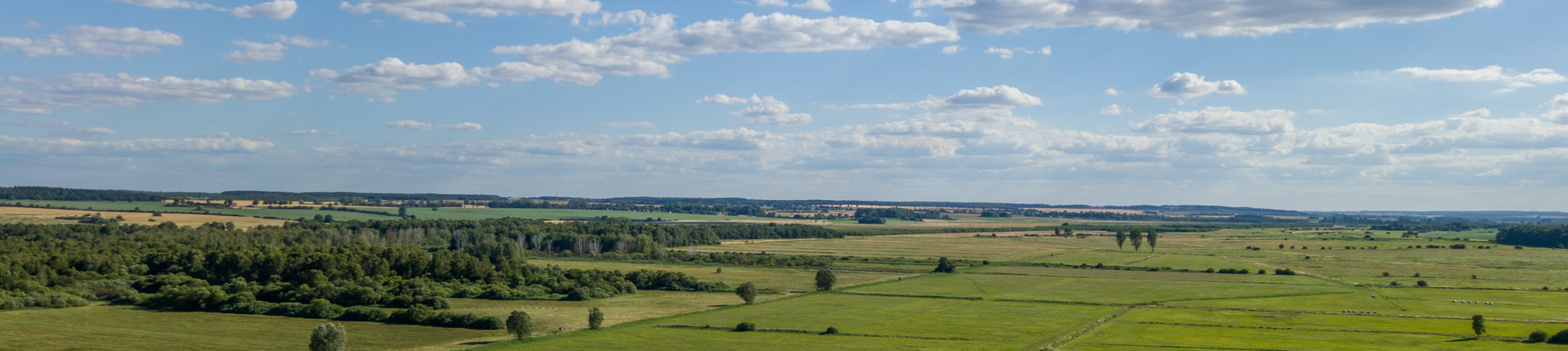 Blick von Nordosten auf den Talmoorkomplex des Kleinen Landgrabens und das NSG „Landgrabenwiesen bei Werder“ Foto: T. Dahms