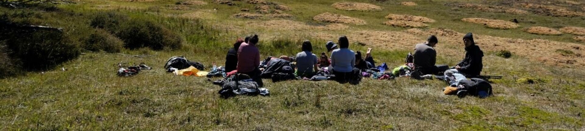 Turba Tol Karukinka Photo: Benjamin Echazarreta Turba Tol Karukinka Photo: Benjamin Echazarreta