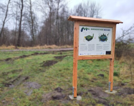 Die neue Informationstafel im Mannhagener Moor erklärt die Entwicklung des Moores und warum Moor nass sein muss.