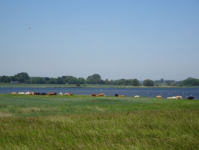 Schoritzer Wieck auf Rügen © Michael Succow Stiftung 